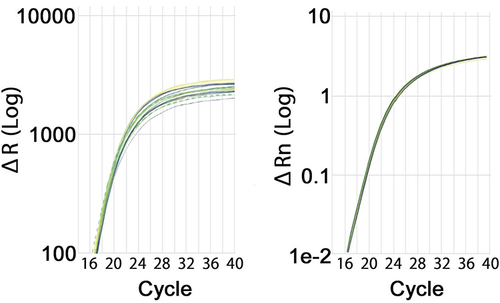 Figure 2 qPCR Amplification Curves for PPIA (OA) and PPIA (384-well plate). Amplification curves for the Morning group are shown in yellow, Evening group in blue, and the UNT group is shown in green. Dotted lines indicate data removed due to the poor amplification or high standard deviation.