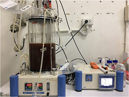 Figure 2. 10 L of bioreactor for biohydrogen synthesis from B.E. MARUBISHI (THAILAND) Co., Ltd.