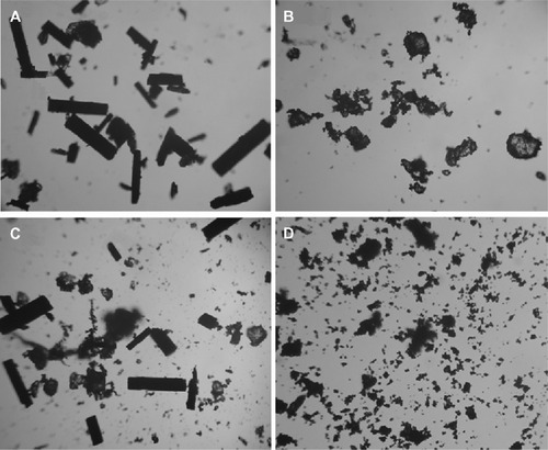 Figure 4 Microscopic photographs (×400) of rifaldazine (A), β-cyclodextrin (B), physical mixture (C), and RAABCD (D).Abbreviation: RAABCD, β-cyclodextrin molecular inclusion complexes of rifaldazine.