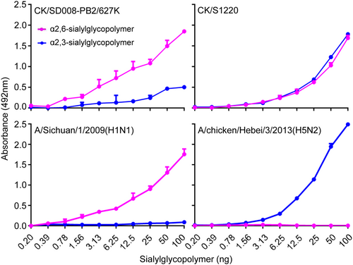 Fig. 4 Receptor-binding properties of the CK/S1220 and CK/SD008-PB2/627 K viruses.Viruses were compared for their ability to bind to sialyglycopolymers containing either α2,6-siaylglycopolymer or α2,3-siaylglycopolymer. The A/Sichuan/1/2009(H1N1) and A/chicken/Hebei/3/2013(H5N2)viruses were used as controls