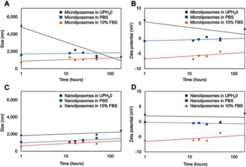 Figure 5 Effect on liposome population size after incubation in ultrapure water (UPH2O), PBS solution, and 10% FBS over time. The size (A) and the zeta potential (B) of the microliposomes both decrease significantly over time when in UPH2O, while the size and zeta potential of the microliposomes remain relatively constant in PBS or 10% FBS over time. However, the size (C) and zeta potential (D) of the nanoliposomes suspended in UPH2O, PBS, and FBS remain constant over time.