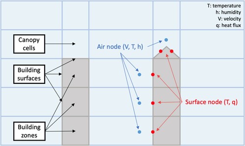 Figure 5. Mechanism of mapping the grid cells in UCM (blue nodes) with the building surfaces in UBEM (red nodes).