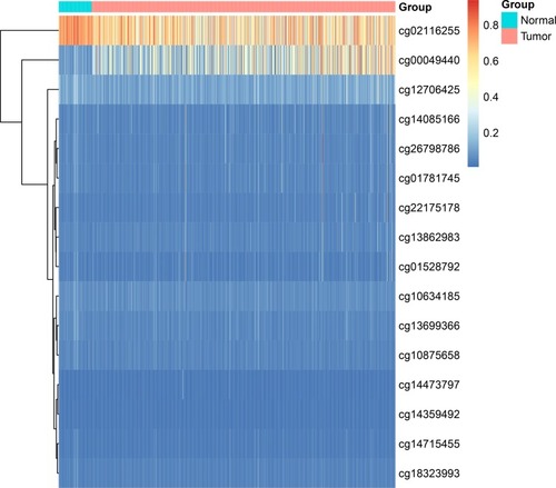 Figure 5 KLF9 gene information from the UCSC Genome browser.