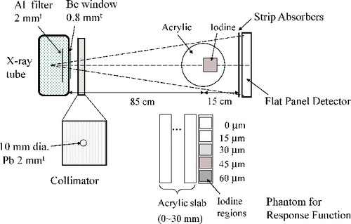 Figure 3. Schematic drawing of experimental setup. For response function measurements, acrylic slabs and iodine regions shown in the bottom are used instead of a cylindrical acrylic phantom.
