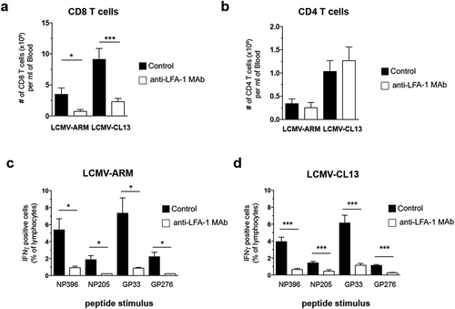 Figure 1. Effect of anti-LFA-1 Mab treatment on anti-viral TEFF burst size