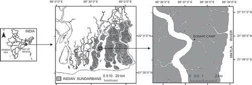 Figure 1. Location of the study area – Bonnie Camp area at Raidighi Range, Indian Sundarbans, West Bengal.