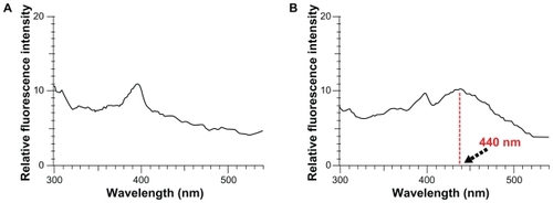 Figure 4 Fluorescence emission spectra of nanoparticles-(fluorescein isothiocyanate) (NPs[FITC]) particles (A) and NPs(FITC)-polyethylene glycol-Folate particles (B). The fluorescence excitation peak at a wavelength of approximately 440 nm indicates successful coupling of folate to particle surfaces.