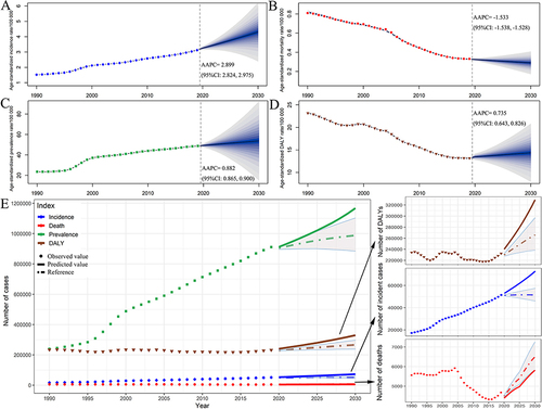 Figure 7 The temporal trends of the national disease burden of IBD from 1990 to 2019, and projections until 2030. Age-standardized incidence rate (A), age-standardized mortality rate (B), age-standardized prevalence rate (C), age-standardized DALY rate (D), and numbers of incident cases, deaths, prevalent cases, and DALYs (E).