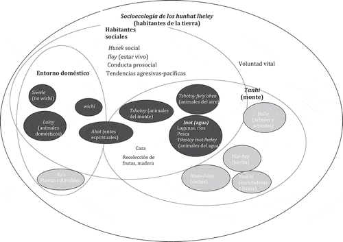 Figura 1. Representación esquemática de la socioecología como ecosistema cultural de los hunhat lheley. Las elipses oscuras denotan habitantes sociales. Las elipses gris claras denotan el reino vegetal. Los nodos punteados indican las categorías y los entornos objeto de nuestras investigaciones actuales.