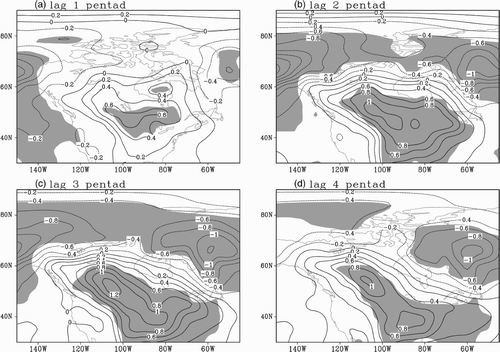 Fig. 2 Lagged regression between the OLR second principal component and winter SAT over North America. The contour interval is 0.2°C. Contours with negative values are dashed. Shading represents areas where the correlation is statistically significant at the 0.01 level. The magnitude of the SAT anomalies corresponds to one standard deviation of PC2 time series.