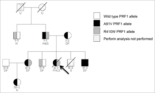 Figure 1. Characterization of PRF1 defects within the family. Family pedigree showing the relationship between family members in which PRF1 analysis was performed. An arrow indicates the index case. Each family member's cancer history is also indicated (H = haematological malignancy; S = solid cancer; DF = disease free; U = unknown cancer history).