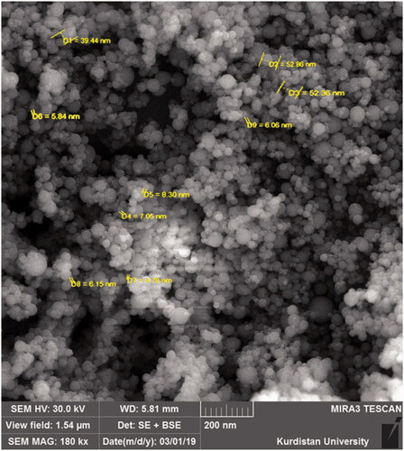 Figure 1. Scanning electron microscopy of nano-silymarin: the mean particle size is 20.30 nm.