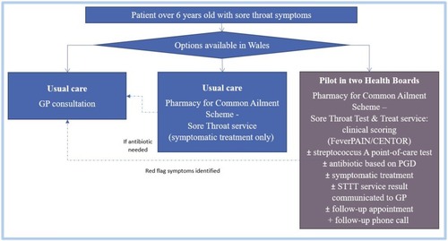 Figure 1 An overview of the Sore Throat Test and Treat (STTT) service and how it fits within the options available in Wales for patients over 6 years old with sore throat symptoms.