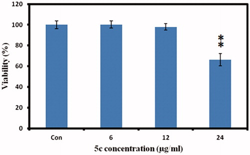 Figure 5. Cell viability measurements. The murine melanoma (B16F10) cells were incubated with indicated concentrations of 5c, and the cell viability was measured by MTT assay. The data was expressed as a percentage of the control (normalized to 100%) with mean ± standard deviation and was analysed using Student’s t-tests, **p < 0.005.