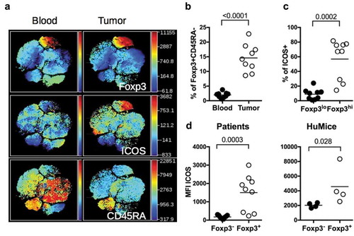 Figure 4. ICOS expression by Treg in HuMice and breast cancer patients. (a) viSNE plot of hCD45+ from a representative breast cancer patient showing FOXP3, ICOS and CD45RA expression in the blood and the tumor, determined by flow cytometry. (b) Frequencies of FOXP3+CD45RAneg cells in the indicated tissue from breast cancer patients among CD4+CD3+ cells. (c) Frequencies of ICOS+ cells in FOXP3lo or FOXP3hi CD4+CD45RAneg in the tumor of breast cancer patients. (d) MFI of ICOS in CD3+CD4+Foxp3− or CD3+CD4+Foxp3+ in the tumor of breast cancer patients or in the tumor of HuMice. The horizontal line represents the mean value. Each dot represents a patient or a mouse. The p values indicated on the graphs are from non-parametric two-tailed Mann–Whitney t-test.