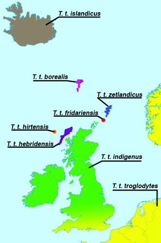 Figure 1. The ranges of subspecies of Eurasian Wren sampled for this study.