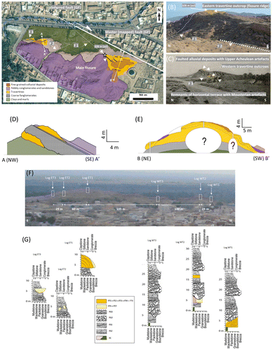 Figure 3. (A) Simplified map of Jebel El Mida structure showing the main travertine outcrops and the mapped and the inferred faults. (B) The travertines of the eastern compartment of Jebel El Mida. (C) The travertines of the western compartment of Jebel El Mida. (D) The A–A′ cross-section in (A). (E) The cross-section of B-B′ in (A). (F) Panoramic view of the exposed succession in the structure of Jebel El Mida showing the location of the measured stratigraphic logs. (G) The stratigraphic logs with lithofacies grouped into lithofacies associations.