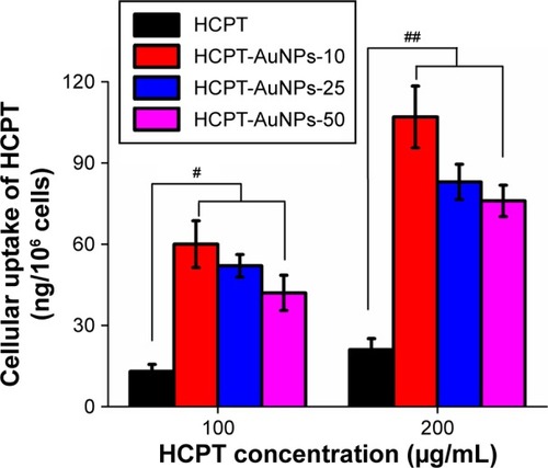 Figure 4 Uptake of HCPT-AuNPs and HCPT into MDA-MB-231 cells.Notes: Results are expressed as mean ± SD. #P<0.05 and ##P<0.01 compared with free HCPT. HCPT-AuNPs-10, 25 and 50: HCPT-AuNPs of an average diameter of 10, 25 and 50 nm.Abbreviations: HCPT, 10-hydroxycamptothecin; AuNPs, gold nanoparticles; SD, standard deviation; PBS, phosphate-buffered saline.