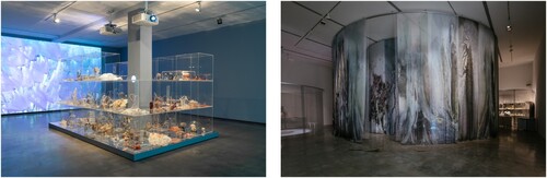 Figure 3. Janet Laurence, Deep Breathing: Resuscitation for the Reef, 2015–2016 / 2019 (left), installation view, Janet Laurence: After Nature, Museum of Contemporary Art Australia, Sydney, 2019, wet, coral, coral drill core and dredge specimens, resin castings, 3D-printed skeletons, fish bones, tubing, laboratory glass, silicon, mirror, pigment, thread, acrylic, sand, glass, shells, clay, video projections, coral block CT scan from the Geocoastal Research Group, School of Geosciences, Marine Studies Institute, University of Sydney, selected specimens from the Collection of the Australian Museum, Sydney, selected specimens from the Geocoastal Research Group, School of Geosciences, Marine Studies Institute, University of Sydney, collection of the artist, image courtesy the Museum of Contemporary Art Australia © the artist, photograph: Jacquie Manning; Theatre of Trees, 2018 –2019 (right), installation view, Janet Laurence: After Nature, Museum of Contemporary Art Australia, Sydney, 2019, four circular structures, mesh, silk, duraclear, audio, video projections, books, scientific glass, plant specimens, botanical models and substances, collection of the artist, image courtesy the Museum of Contemporary Art Australia © the artist, photograph: Jacquie Manning.