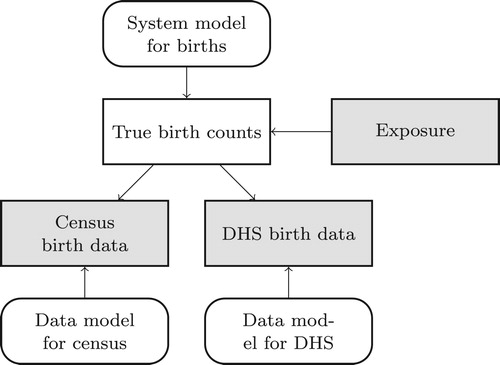 Figure 3. An overview of the model for births in Cambodia. Straight-edged rectangles represent demographic arrays and rounded rectangles represent models. Grey shapes are observed; everything else must be inferred.