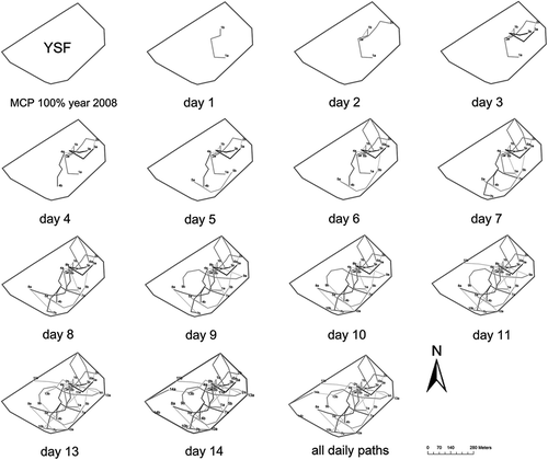 Figure 2. The ranging pattern of the group YSF (Mitsinjo Station Forestière) in 2008. We show the daily travel paths of the group YSF during 13 consecutive days (except for missing data of day 12). The group YSF travelled from the core of the territory to the northeastern boundary (from day 2) and then moved to the southwest (from day 8). The group covered the whole territory over 13 days.