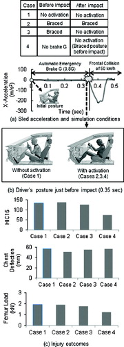 Figure 5 Parametric simulations to investigate effect of muscle activations on driver's postures and injury outcome in a frontal collision with AEB. (a) Sled acceleration and simulation conditions. (b) Driver's posture just before impact (0.35 sec). (c) Injury outcome.