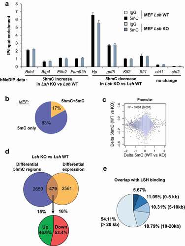 Figure 5. 5hmC differences are not a direct consequence of 5mC modifications upon Lsh loss and are not always followed by direct gene expression change.