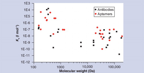 Figure 10. Comparison of antibody and DNA aptamer affinities showing how they depend on the molecular weight of the target substance.The affinities of DNA aptamers are comparable with antibodies when the target substance has a low molecular weight, but, in general, affinities for higher molecular weight substances are inferior to antibodies.