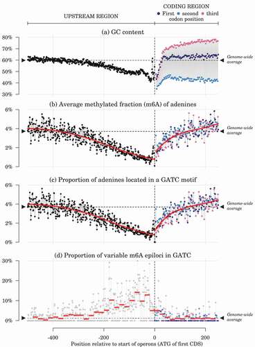 Figure 1. Profiles of nucleotide composition and adenine methylation around the start positions of operon-leading CDS. Red lines: LOESS regression (in (b) and (c), span =0.75) and binned values (in (d), width =20bp). Data points are averaged over each position relative to the leading CDS initiation codon, based on the 2686 operons predicted in the reference genome. Horizontal dashed lines and black triangles show genome-wide average values. Values for the three first bases on the coding sequences (usually ATG) are dropped from the plot to keep the y-scale reasonably narrow.