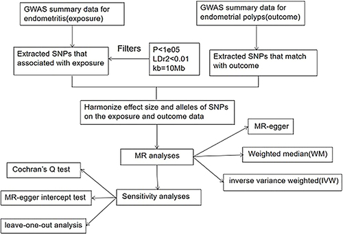 Figure 1 Illustrates the conceptual and analytical flow of this study.