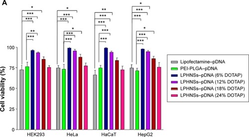 Figure 4 Influence of cationic lipid concentration of LPHNSs on cell viability and transfection efficiency.Notes: Cytotoxicity (cell viability) of LPHNS–pDNA complexes (90:1 w/w) with different DOTAP concentrations were compared with Lipofectamine (2 µL) and NS polyplexes (PEI–PLGA 90 µg) in 293T, HeLa, HaCaT, and HepG2 cells by CCK-8 assay (A). Transfection efficiency of LPHNS–pDNA complexes (90:1 w/w) with different DOTAP concentrations (6–24 w/w%) were investigated in 293T, HeLa, HaCaT, and HepG2 cells (B). Lipofectamine (2 µL) and PEI–PLGA (90:1 w/w) were used as controls. The scale represents 100 µm. Fluorescence-microscopy images for transfection efficiency of LPHNS–pDNA complex with different DOTAP concentrations in 293T, HeLa, HaCaT, and HepG2 cells (C). Results are presented as means ± standard deviation of three independent experiments. Significant results as compared to the control are marked with asterisks (*P<0.05, **P<0.01, ***P<0.001).Abbreviations: LPHNSs, lipid–polymer hybrid nanospheres; w/w, weight/weight; NS, nanosphere; pDNA, plasmid DNA; DOTAP, 1,2-di-(9Z-octadecenoyl)-3-trimethylammonium-propane (chloride salt); PEI, polyethyleneimine; PLGA, poly(d,l-lactic-co-glycolic acid).