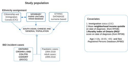 Figure 1 Flow chart illustrating the study population cohort.