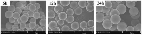 Figure 5. SEM micrographs of MIP particles at different polymerization time.