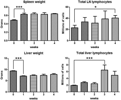 Figure 9. Time course of changes in liver and spleen weight as well as the number of lymphocytes in lymph nodes and liver induced by AQ treatment. Values represent the mean ± SE from eight BN rats per group. The data were analyzed for statistical significance by a Mann–Whitney U-test. (Significantly different from the control group; *p < 0.05, ***p < 0.001.)