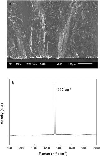 Figure 2. (a) Fracture morphology and (b) laser Raman spectrum of the diamond film.