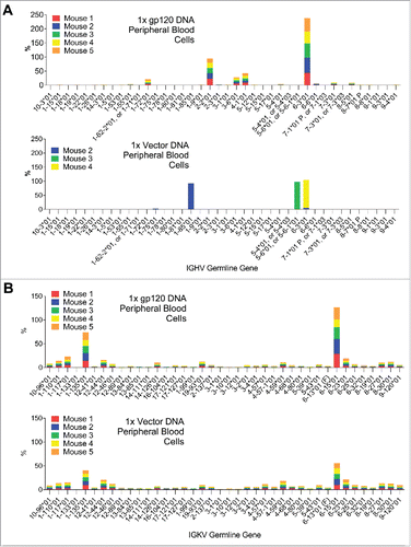 Figure 2. A) V-gene segment usage in gamma reads from peripheral blood cells of vector control-immunized mice and gp120-immunized mice. The distribution in vector control-immunized mice is oligoclonal and very different from that of gp120-immunized mice. B) Same as A, but in kappa reads.