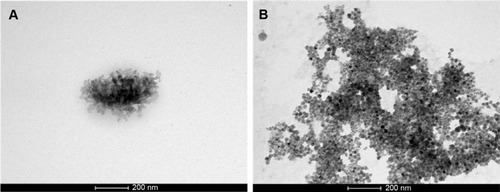 Figure 4 Transmission electron photomicrograph of SbL8 dispersions.Notes: Dispersions of SbL8 in water (A) or 1:1 W:PG (B) (L8 at 30 mM) were stained with osmium tetroxide and then deposited and dried onto a 300-mesh Formvar copper grid. The images were obtained using a transmission electron microscope operating at an acceleration voltage of 120 kV, a line resolution of 0.34 nm, a point resolution of 0.49 nm, and a Cs of 6.3 (spherical aberration), implying high contrast.Abbreviations: SbL8, 1:3 Sb–N-octanoyl-N-methylglucamide complex; W:PG, water:propylene glycol; L8, N-octanoyl-N-methylglucamide.