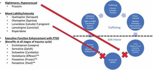 Figure 3. Theorized medication inhibition of cycle of complex trauma, PTSD with trauma-coerced attachment and recidivism from safe placement experienced by people exploited via human trafficking. Pharmacologic treatments for PTSD with trauma-coerced attachment are theorized to block the cycle of complex trauma in multiple ways and, therefore, have the potential to reduce recidivism from safe placement.