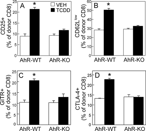 FIG. 5 TCDD-mediated changes in the phenotype of donor CD8+ cells are dependent on AhR in the donor T-cells. F1 mice were dosed with vehicle or TCDD one day before the injection of CFSE-labeled AhR-WT or AhR-KO donor T-cells. On Day 2, donor CD8+ cells were analyzed for expression of CD25 (A), CD62L (B), GITR (C), and CTLA-4 (D). Data shown are representative of 2–4 independent experiments; n = 4 mice per group. *p < 0.02, compared to vehicle.