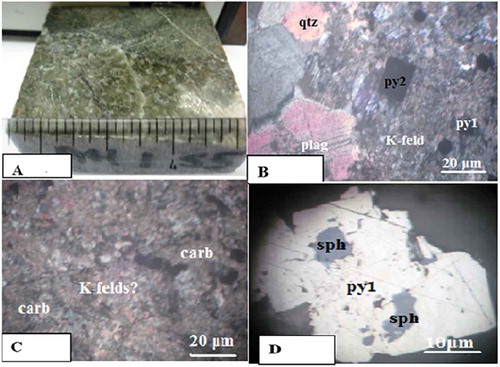 Figure 9. a. Hand specimen of granitoid of alteration 1. b. Photomicrograph of granitoid showing different mineralogical compositions. c. Photomicrograph of granitoid showing areas of carbonatization (carb). d. Photomicrograph of granitoid showing pyrite sphalerite (sph) enclave in euhedral pyrite (sp).