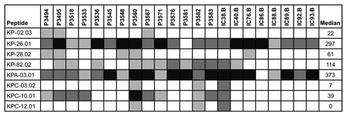 Figure 3. Peptide ELISA with human sera. Reactivity of human sera against KP-02, KP-26, KP-28, KP-82, KPA-03, KPC-03, KPC-10 and KPC-12 are shown. Reactivity of the most reactive peptides per antigen are shown. Coding of reactivity: < 100 ELISA units (white), 100 - 199 ELISA units (light gray), 200 - 399 ELISA units (dark gray), > 400 ELISA units (black).