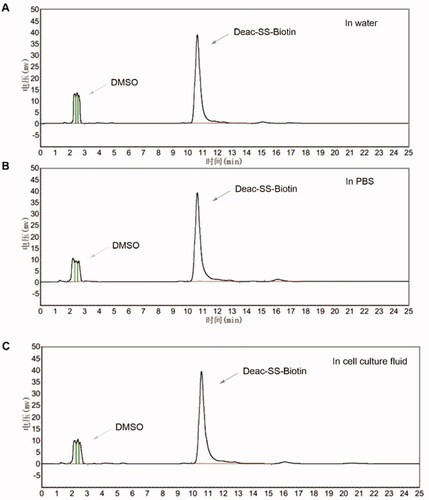 Figure 4. Stabilities of Deac-SS-Biotin (9, 5 µM) in water, and PBS cell culture fluid were investigated by HPLC analysis. (A) HPLC analysis of Deac-SS-Biotin (9) in water after incubation for and 72 h; (B) HPLC analysis of Deac-SS-Biotin (9) in PBS after incubation for and 72 h; (C) HPLC analysis of Deac-SS-Biotin (9) in cell culture fluid after incubation for and 72 h.