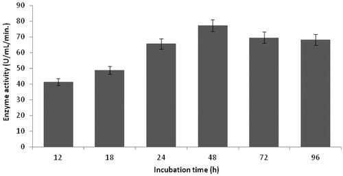 Figure 6. Effect of incubation time on protease production (incubation temperature 35 °C, inoculum size 1%, lactose as carbon source, yeast extract as nitrogen source, pH 11.0).