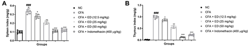 Figure 2 Effect of Edaravone on the spleen and thymus index of CFA induced arthritis rats. (A): Spleen index and (B): thymus index. The data are expressed as the mean ± standard error means (SEM) (n=10). Dunnett’s test was used for comparisons the data. Where *P<0.05, **P<0.01 and ***P<0.001 was considered as significant, more significant and extreme significant vs CFA control. ###P<0.001 consider as significant and compared with the normal control.