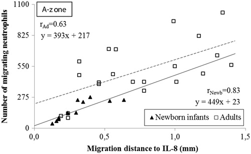 Figure 4. Correlation of the distance and the number of neutrophils migrating to different gradients of IL-8 in the A-zone. The distance the cells migrated was measured from the edge of the well to the edge of the leading cell front. The correlation coefficients in newborn infants was r = 0.83 compared to r = 0.63 in adults (n = 3; P < .001, respectively). Note the higher incipient migration at x = 0 and the longer distance of migration in adults compared to neonates.