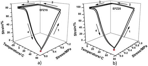 Figure 5. Thermomechanical cycles of EFeZn15 (a) and EFeZn25 (b) to characterize the shape memory behaviors. The red points indicate the starting point of the test.