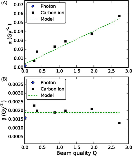Figure 3. The parameters α and β of the linear quadratic model are shown in (a) and (b) respectively, as a function of the beam quality Q. The experimental data from photon and carbon ion irradiation are compared to the proposed model description.