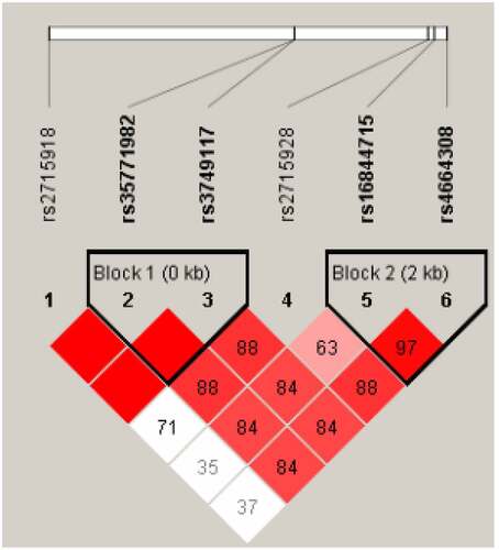 Figure 1. Linkage disequilibrium analysis of PLA2R gene