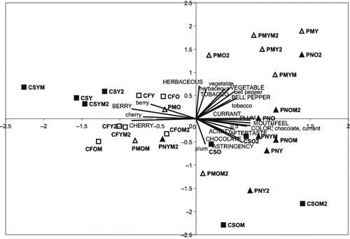 FIGURE 1. Principal components analysis of sensory descriptors of Cabernet Franc, Cabernet Sauvignon, Pinot Meunier, and Pinot noir wines, Thirty Bench Vineyards, Beamsville, ON, 2003. Legend: Cultivar designations: CF: Cabernet Franc; CS: Cabernet Sauvignon; PM: Pinot Meunier; PN: Pinot noir; Treatment designations: Age treatments: O: old; Y: young; Mulch treatments: M: mulched; no designation: non-mulched. A number “2” following a given cultivar-treatment combination indicates tasting replicate #2; otherwise replicate #1.