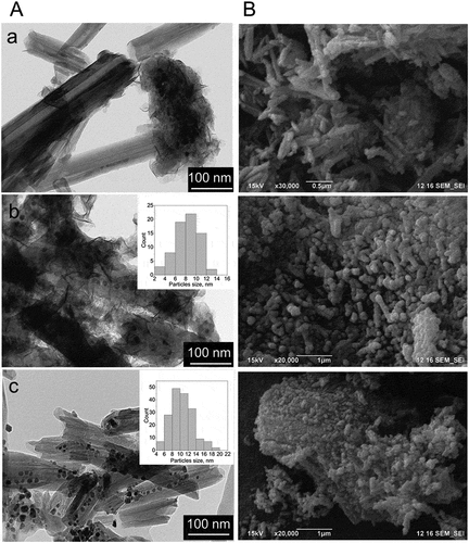 Figure 6. TEM (A) and SEM images (B) of used Co/HNT (a), RuCo@HNT-1 (b), RuCo@HNT-2 (c).